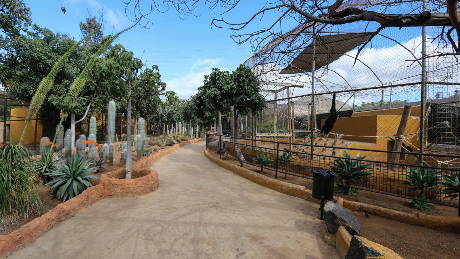 Тенерифе, Манки парк на Тенерифе. Парк обезьян и лемуров на Тенерифе. Monkey Park in