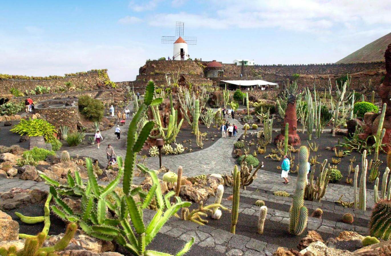 Jardín de Cactus - galeria2